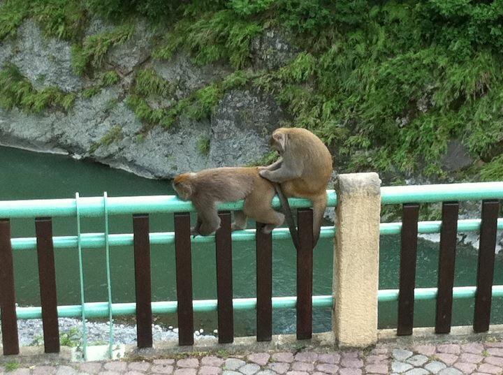 Good Stay B&B 東河郷 エクステリア 写真